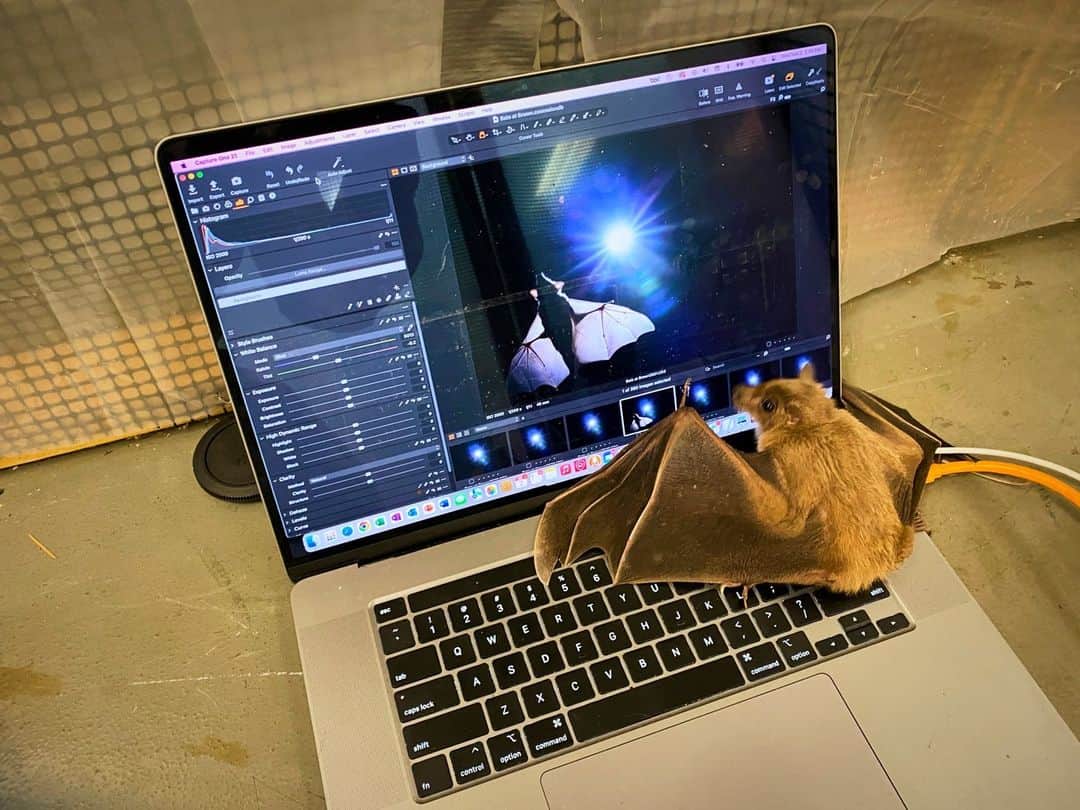 ナショナルジオグラフィックさんのインスタグラム写真 - (ナショナルジオグラフィックInstagram)「Photos by ...