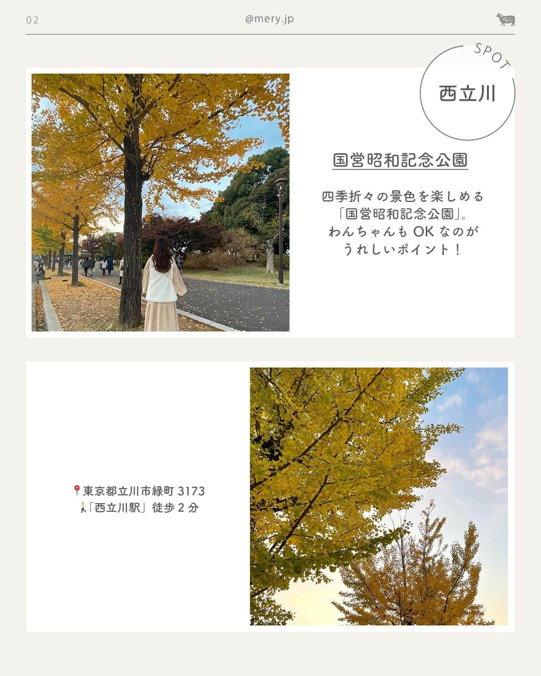 MERYさんのインスタグラム写真 - (MERYInstagram)「モミジやイチョウを見ながらおさんぽ🤎【東京】紅葉スポット7選  秋のお出かけスポットの候補のひとつといえば、紅葉スポット🍁 今回は東京の紅葉スポットをご紹介します🧸🍂  モミジやイチョウなどの紅葉を見ながら、のんびりお散歩をするのもいいかも🥺  ♡｜東京の紅葉スポット  #明治神宮外苑（青山一丁目） #国営昭和記念公園（西立川） #新宿御苑（新宿御苑前） #六義園（駒込） #芝公園（芝公園） #井の頭恩賜公園（吉祥寺） #日比谷公園（日比谷）  photo by @mii_154_ mif_213 @_miii_1207_ @chihiro___315 @chinatsu_guitar @mialohaaa_ @__nr07  MERYでは他にも「かわいい」に近づけるさまざまな情報を発信しています。⁣ @mery.beauty コスメ・美容に特化した情報をお届け♡ @mery_giftsalon 選りすぐりのギフトを提案🎁 こちらもぜひチェックしてみてください！⁣  #紅葉 #もみじ #紅葉狩り #もみじ狩り #紅葉スポット #紅葉デート #紅葉コーデ #イチョウ並木 #イチョウ #イチョウの木 #イチョウの葉 #イチョウブーケ #イチョウの絨毯 #秋の風景 #秋の景色 #東京旅行 #東京観光 #東京散歩 #いちょう並木 #昭和記念公園」10月27日 21時01分 - mery.jp