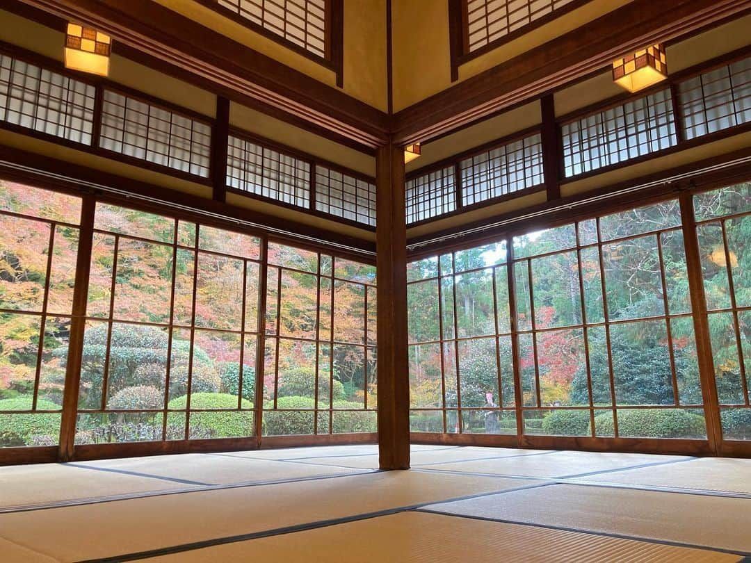 Birthplace of TONKOTSU Ramen "Birthplace of Tonkotsu ramen" Fukuoka, JAPANさんのインスタグラム写真 - (Birthplace of TONKOTSU Ramen "Birthplace of Tonkotsu ramen" Fukuoka, JAPANInstagram)「Gorgeous Fall Foliage at the Aso Ouraso Villa - Only Open For 8 Days!🏡✨ The 100-year-old Aso Ouraso Villa is located in Iizuka, and was one of the residences of the Aso family, who made their fortune in the coal industry.💴  While usually closed to the public, the villa opens its doors for a few days in spring and autumn. Visitors can gaze upon its garden from the outer corridor and see the stunning red and yellow foliage radiating beautifully against the green lawn.🍂  This is also a great opportunity to tour the home and learn about the modern Japanese architecture of the time. The villa is made of top-notch wood and flaunts an elegant design, sparing no expense even in the tiniest of details.🥰  [Fall Foliage Special Opening] Period: November 23-30, 2023 Time: 9:30 am - 5:00 pm (last admission 4:30 pm) Price: Free  ------------------------- Photo 📷 : @04.nao.28 FOLLOW @goodvibes_fukuoka for more ! -------------------------  #fukuoka #fukuokajapan #kyushu #kyushutrip #explorejapan #instajapan #visitjapan #japantrip #japantravel #japangram #japanexperience #beautifuljapan #japanlovers #visitjapanjp #autumnleaves #japanesearchitecture」10月27日 21時01分 - goodvibes_fukuoka