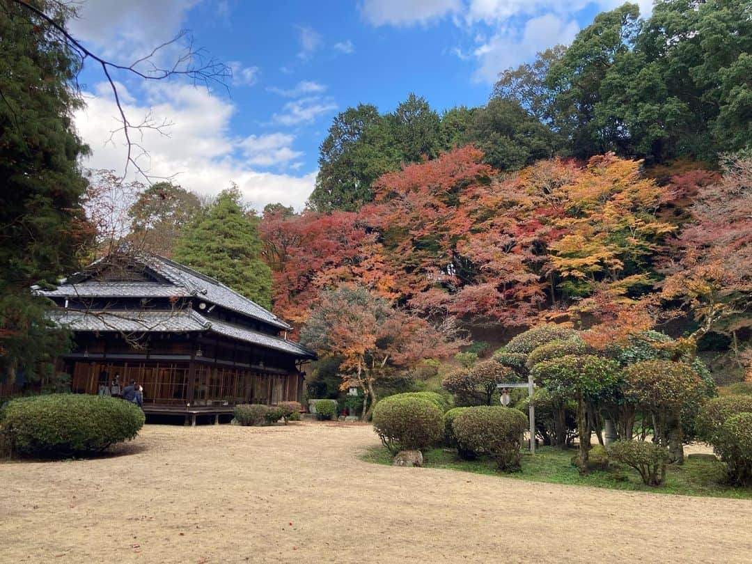 Birthplace of TONKOTSU Ramen "Birthplace of Tonkotsu ramen" Fukuoka, JAPANのインスタグラム：「Gorgeous Fall Foliage at the Aso Ouraso Villa - Only Open For 8 Days!🏡✨ The 100-year-old Aso Ouraso Villa is located in Iizuka, and was one of the residences of the Aso family, who made their fortune in the coal industry.💴  While usually closed to the public, the villa opens its doors for a few days in spring and autumn. Visitors can gaze upon its garden from the outer corridor and see the stunning red and yellow foliage radiating beautifully against the green lawn.🍂  This is also a great opportunity to tour the home and learn about the modern Japanese architecture of the time. The villa is made of top-notch wood and flaunts an elegant design, sparing no expense even in the tiniest of details.🥰  [Fall Foliage Special Opening] Period: November 23-30, 2023 Time: 9:30 am - 5:00 pm (last admission 4:30 pm) Price: Free  ------------------------- Photo 📷 : @04.nao.28 FOLLOW @goodvibes_fukuoka for more ! -------------------------  #fukuoka #fukuokajapan #kyushu #kyushutrip #explorejapan #instajapan #visitjapan #japantrip #japantravel #japangram #japanexperience #beautifuljapan #japanlovers #visitjapanjp #autumnleaves #japanesearchitecture」