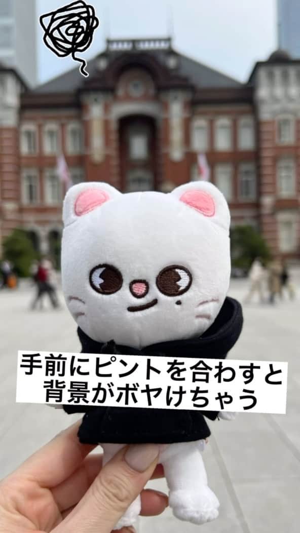 Maiko Shibataのインスタグラム：「明日から東京ドーム2daysですねー🗼🗼♡♡ スキズが日本にいると思うだけで空気が美味しい😋  私はチケット無いので関西からオーラスのライビュ楽しみます🥳  可愛いzoo達と写真を撮る時のコツをご紹介します  会場のレポ楽しみにしてますね♡♡  #straykids#スキズ#ストレイキッズ#5stardometour2023#STAYさんと繋がりたい#skzoo#ヒョンジン#ヒョンジンペン」