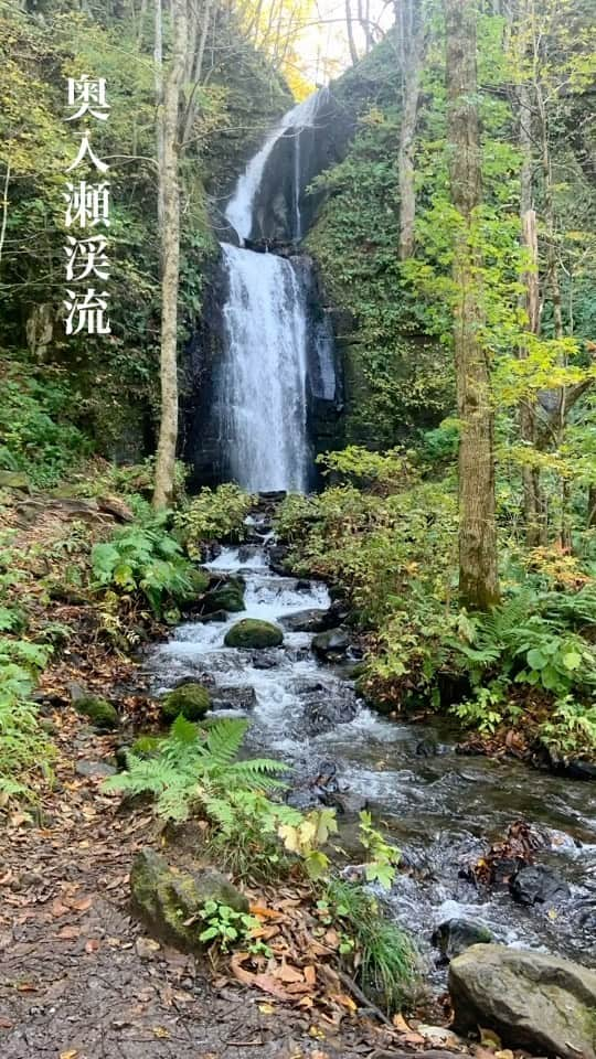 小板奈央美のインスタグラム：「🍁#奥入瀬渓流 🍁 青森県十和田市の奥入瀬。 ほんのり紅葉づいてました！ ・ 初の奥入瀬！ 目の前に広がる大自然に、リフレッシュ✨ ・ 秋ももちろん良いのだけど、この時期でも既に寒かった！ 夏も涼しくて良さそうだな🙆‍♀️ ・ ・ #青森県  #奥入瀬 #紅葉 #log」