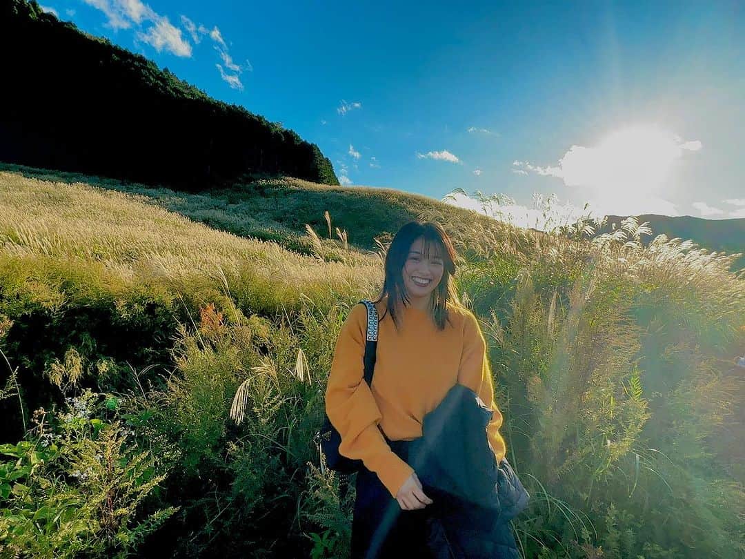 山崎桃子のインスタグラム：「壮大で果てしなく広い地球に生まれた事が奇跡🌿  #箱根  #仙石原すすき草原  #壮大で果てしなく広い」