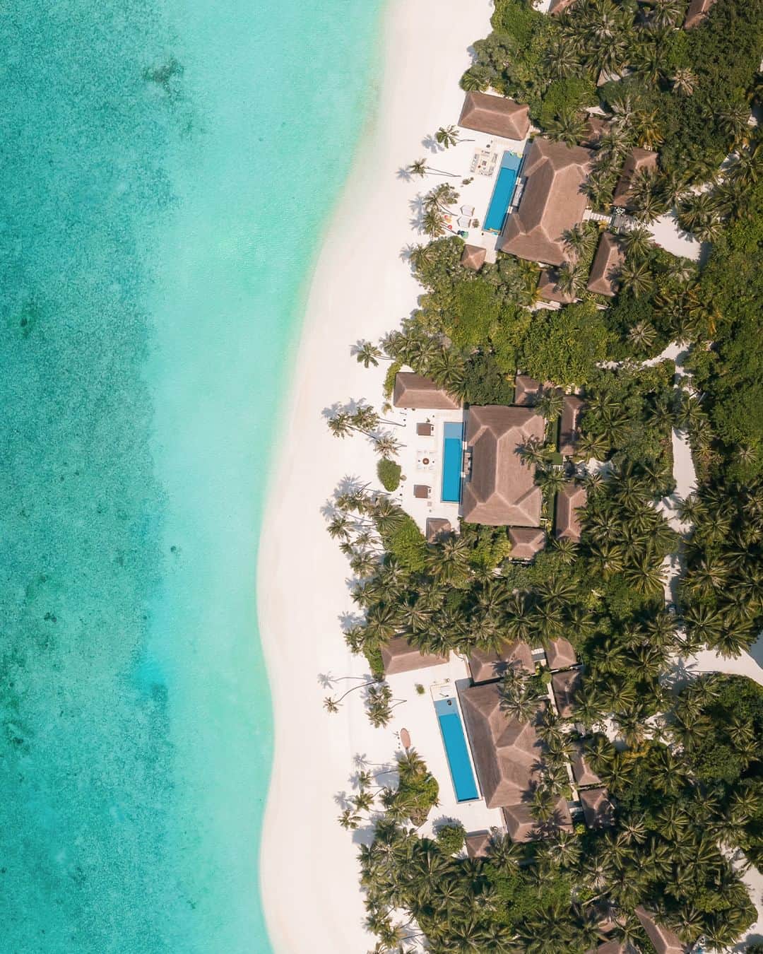 Velaa Private Islandのインスタグラム：「Step out onto secluded sands where the wind whispers in your ear as the gentle waves wash over your toes. #VelaaMoments #VelaaPrivateIsland」