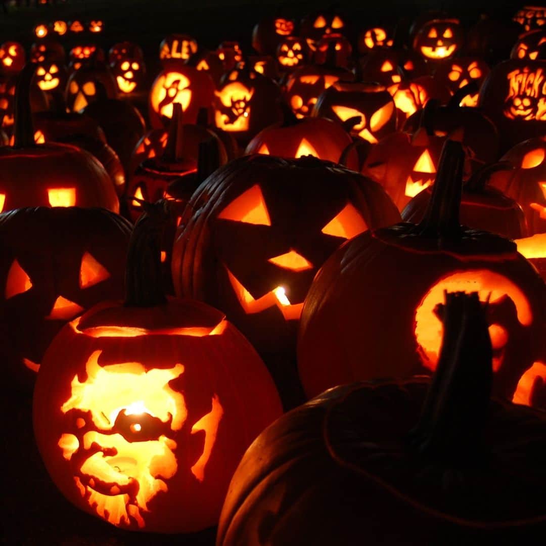 Discoveryさんのインスタグラム写真 - (DiscoveryInstagram)「Are you carving multiple pumpkins this weekend? The city of Keene, New Hampshire probably has you beat: they hold the world record for most lit jack-o'-lanterns displayed, a whopping 30,581!  #PumpkinSeason #Halloween」10月27日 22時01分 - discovery