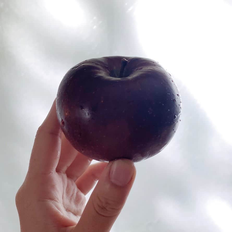 後藤しおりのインスタグラム：「毎朝、秋映丸齧り。お気に入りの農家さんのギュッと味が濃縮されたようなみずみずしい小ぶりの秋映がとっても美味しい。そろそろ終わりのよう。  ＊10月24日-28日発送分 自家製水餃子をご予約のお客様へ、本日発送完了次第、発送メールをお送りいたします。ご確認よろしくお願いいたします。」