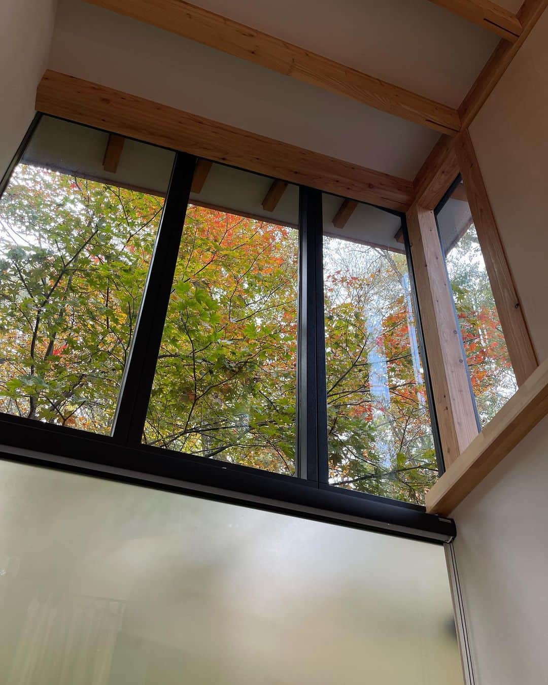 深澤里奈さんのインスタグラム写真 - (深澤里奈Instagram)「◯◯◯  秋らしい景色。 軽井沢は、割と電線がね… 音符みたいと思えばいいのでしょうか。  庭のもみじも紅葉が進んできました。  そろそろ外構に手をつけなくてはなりません。 何回打ち合わせしただろうか。  #秋の軽井沢 #月 #紅葉」10月28日 8時57分 - rinatj