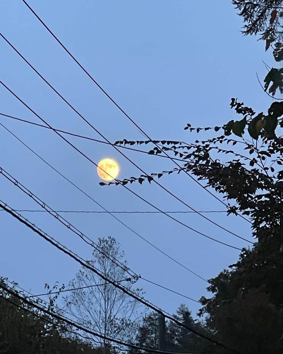 深澤里奈のインスタグラム：「◯◯◯  秋らしい景色。 軽井沢は、割と電線がね… 音符みたいと思えばいいのでしょうか。  庭のもみじも紅葉が進んできました。  そろそろ外構に手をつけなくてはなりません。 何回打ち合わせしただろうか。  #秋の軽井沢 #月 #紅葉」