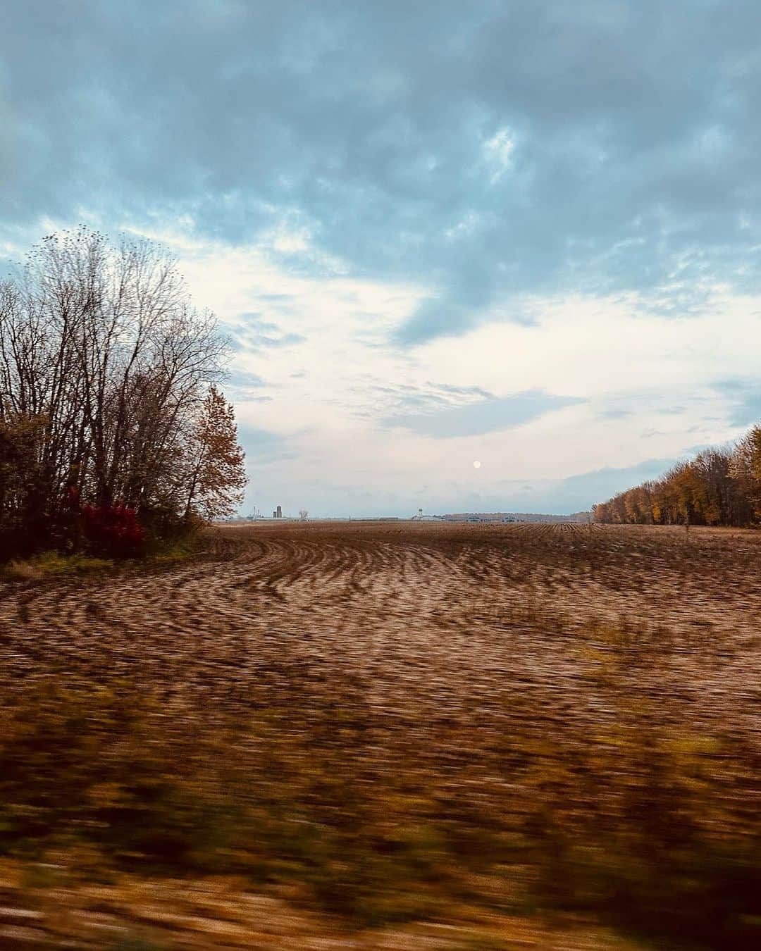 トーレイ・デヴィートさんのインスタグラム写真 - (トーレイ・デヴィートInstagram)「Fall Sweet Fall • insert metaphors about leaves falling here • 🧡」10月28日 7時46分 - torreydevitto