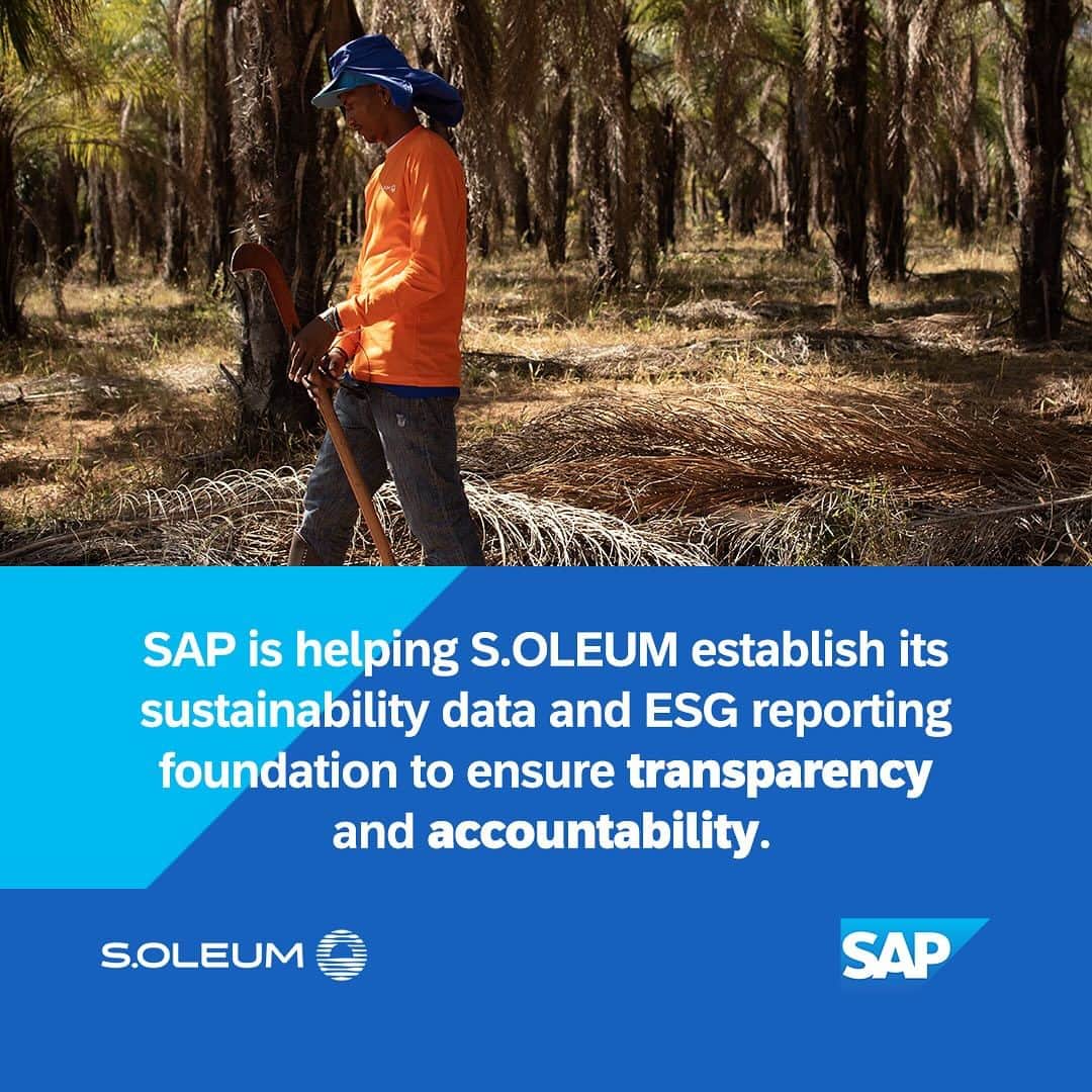 SAPさんのインスタグラム写真 - (SAPInstagram)「🍃 The Macaúba tree is nature's CO2 solution.   SAP and @soleumofficial, a pioneer agroforestry company based in Brazil, are joining forces to create a staggering one billion carbon credits by 2045.   Explore how this ambitious venturer is using a high-tech crop-livestock-forest approach to farm sustainably, generate revenue, and scrub harmful CO2 from the air. Link in bio!   #sustainability #reforestation #agoforestry」10月28日 0時27分 - sap