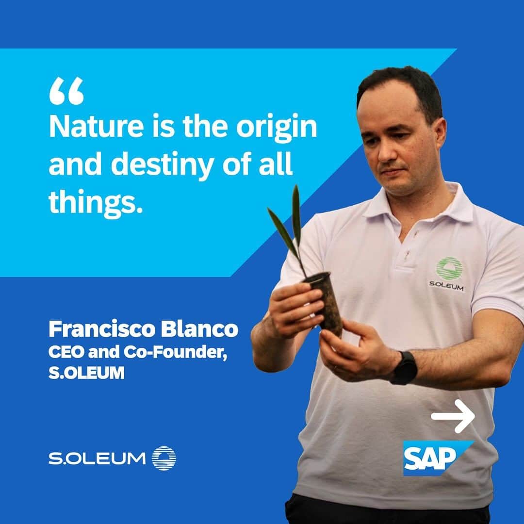 SAPのインスタグラム：「🍃 The Macaúba tree is nature's CO2 solution.   SAP and @soleumofficial, a pioneer agroforestry company based in Brazil, are joining forces to create a staggering one billion carbon credits by 2045.   Explore how this ambitious venturer is using a high-tech crop-livestock-forest approach to farm sustainably, generate revenue, and scrub harmful CO2 from the air. Link in bio!   #sustainability #reforestation #agoforestry」