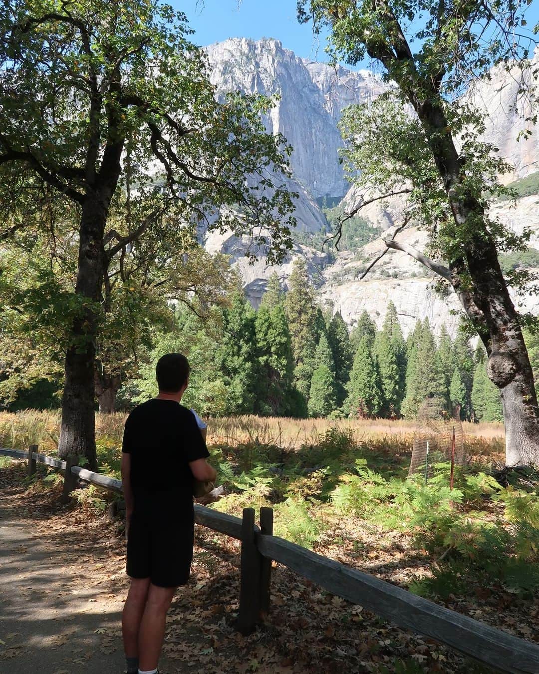 リナ・サワヤマさんのインスタグラム写真 - (リナ・サワヤマInstagram)「Yosemite and Sequoia was 😭😭😭😭」10月28日 0時27分 - rinasonline