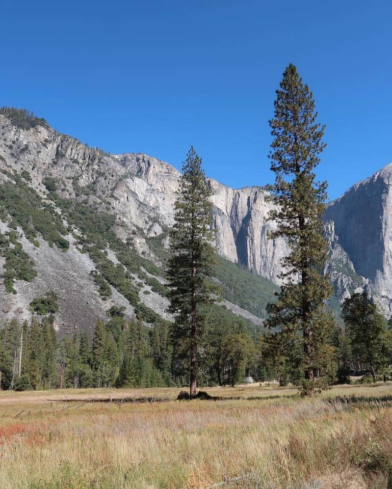 リナ・サワヤマさんのインスタグラム写真 - (リナ・サワヤマInstagram)「Yosemite and Sequoia was 😭😭😭😭」10月28日 0時27分 - rinasonline