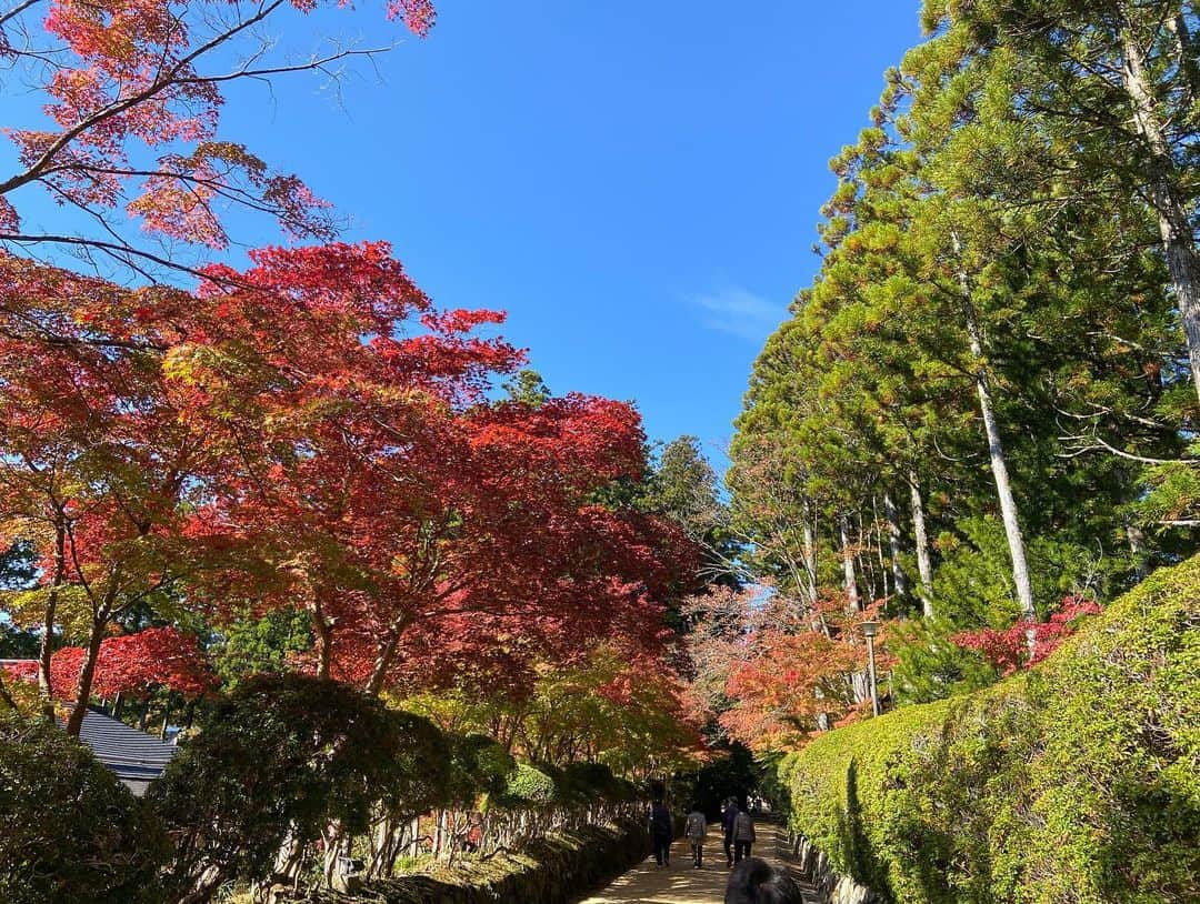 高樹リサさんのインスタグラム写真 - (高樹リサInstagram)「. 日付変わって今日は、おはよう朝日土曜日です☀️出演します。 北村アナウンサーと高野山で秋の紅葉を楽しんできました🍁 ぜひご覧ください✨」10月28日 0時36分 - lisalisa_takagi
