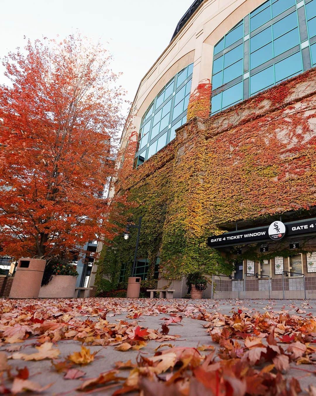 のインスタグラム：「Guaranteed Rate Field (Fall's Version) 🍁🍂」