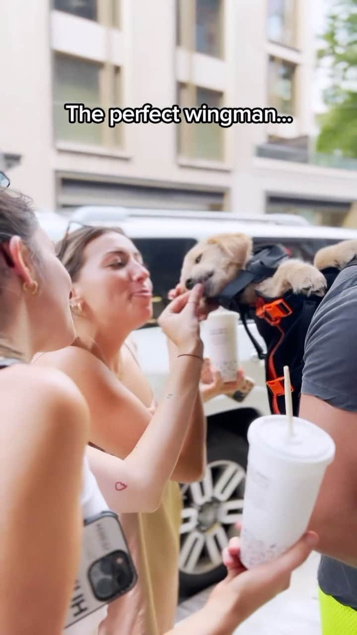 DogsOf Instagramのインスタグラム：「Goose is 6 months old and kisses on the first date ❤️ Fetched from @heylittlechonk  . . .  #dogsofinstagram #goldenretrieversofinstagram #wingman #puppylove #dogdad #doginabackpack #backpackdog」