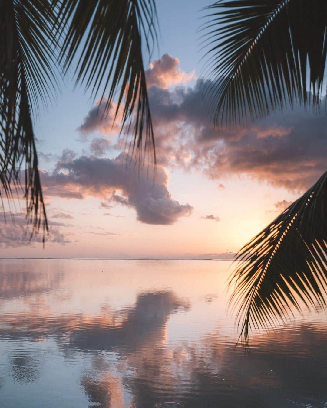 PicLab™ Sayingsのインスタグラム：「Picture perfect sunsets on the island of Mo’orea. Love this image? Tap the link in our bio to shop and bring this picture of paradise, "Moana Paradise", by Kelsey Williamson into your home. @driftward」