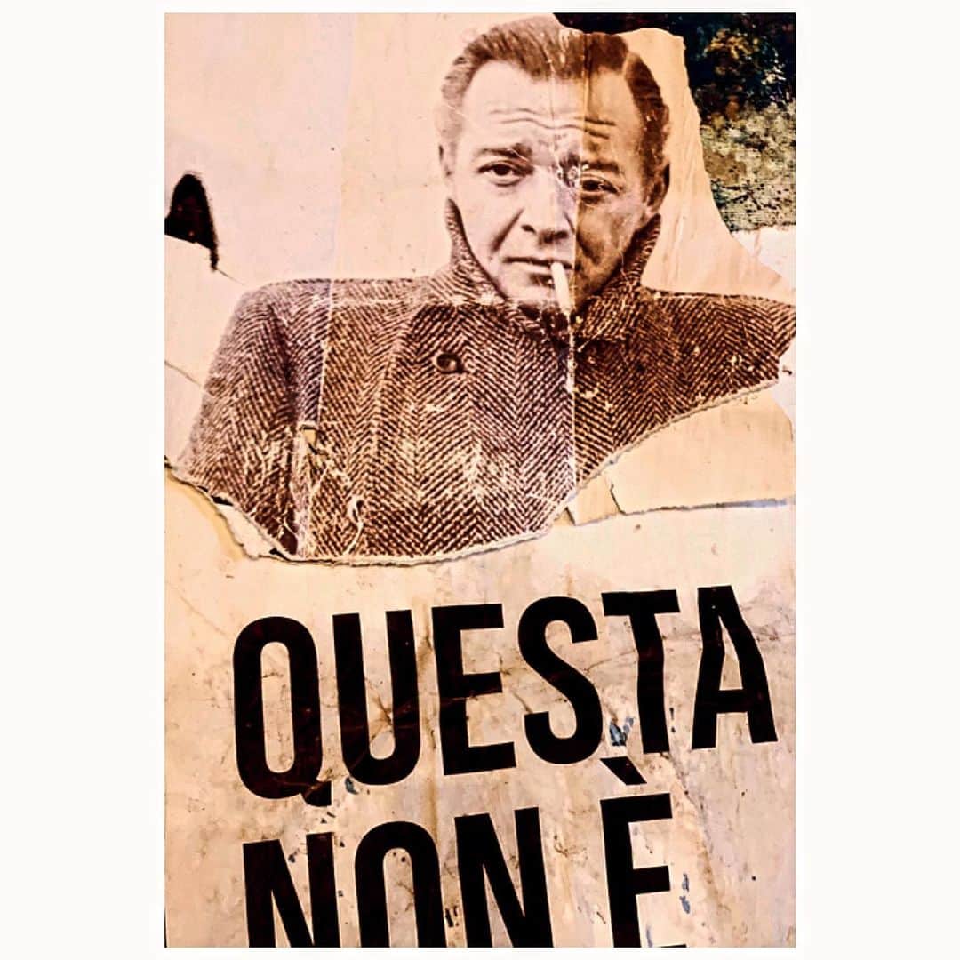 マット・ディロンのインスタグラム：「Peter Lori torn poster. @cinetecabologna」