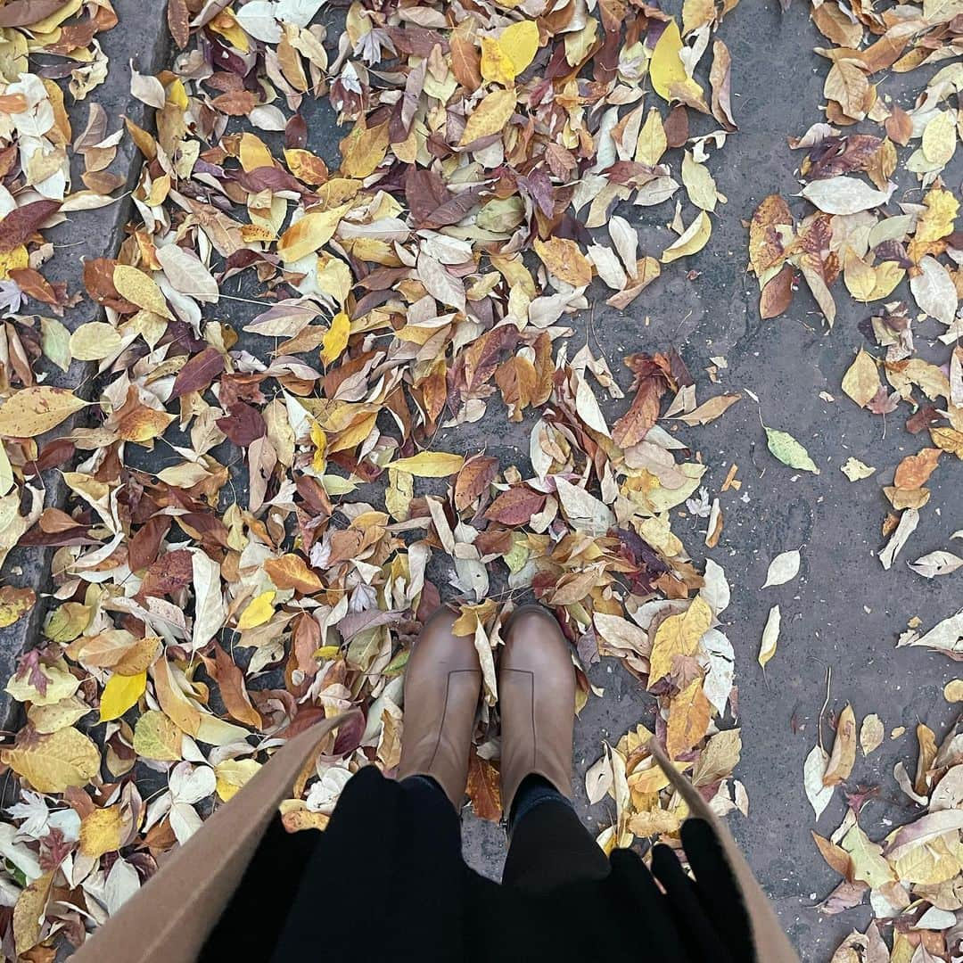 チェルシー・ルーズさんのインスタグラム写真 - (チェルシー・ルーズInstagram)「A slice of my life lately - many things I’m feeling thankful for…  1. Final @shesendscollective Climb + Coffee event of 2023 ☀️ @laurelcc  2. New addition from @bensears.art  3. My sweet 14 year old - @puma_dog  4. Shenanigans with Alex  5. My nut, Frannie Beans 🫘  6. Eclipse with one of my faves @dean.cool  7. Mugs in the making. Last of my work till 2024 (taking a lil break)  8. Glow of change  9. Getting curious, enjoying the process  10. Witchy」10月28日 3時37分 - chelseanicholerude