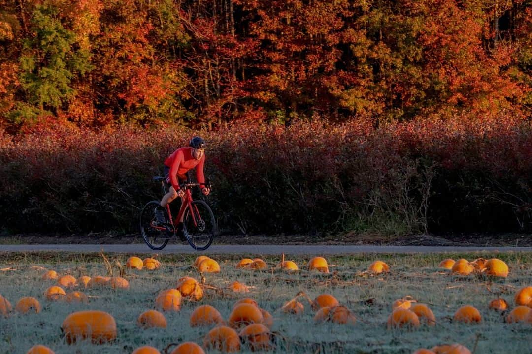 Fuji Bikesさんのインスタグラム写真 - (Fuji BikesInstagram)「Autumn Camouflage ❤️   #FujiBikes #SLA #FujiSLA #cycling #cyclinglife #cyclingphotos #roadbike #cyclist #adventure  #ciclismo #fall #autumnvibes #falllfoliage #fallcolor #autumncolors  #adventurecycling #km #takethelongwayhome #autumn  #roadcyclist #roadcycling #travelphotography #photography #travel #Bikes #BikeLife #BikeLove」10月28日 5時00分 - fujibikes