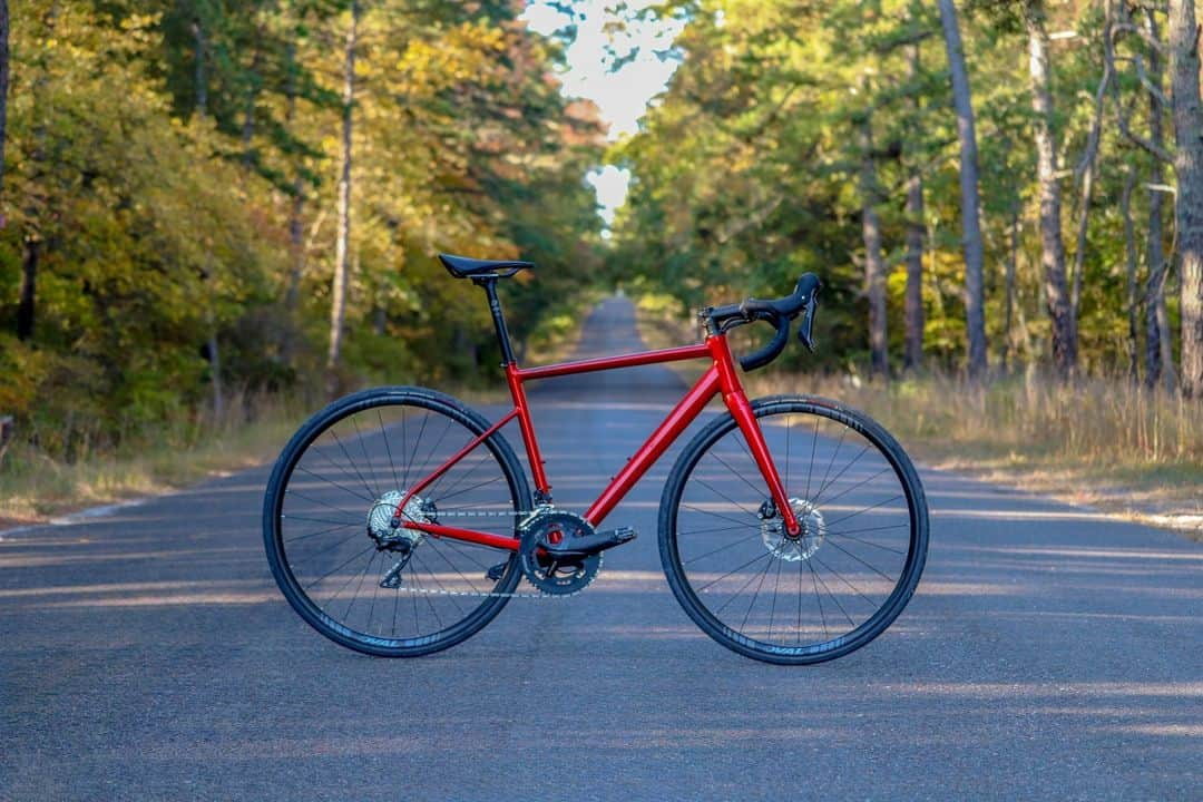 Fuji Bikesさんのインスタグラム写真 - (Fuji BikesInstagram)「Autumn Camouflage ❤️   #FujiBikes #SLA #FujiSLA #cycling #cyclinglife #cyclingphotos #roadbike #cyclist #adventure  #ciclismo #fall #autumnvibes #falllfoliage #fallcolor #autumncolors  #adventurecycling #km #takethelongwayhome #autumn  #roadcyclist #roadcycling #travelphotography #photography #travel #Bikes #BikeLife #BikeLove」10月28日 5時00分 - fujibikes