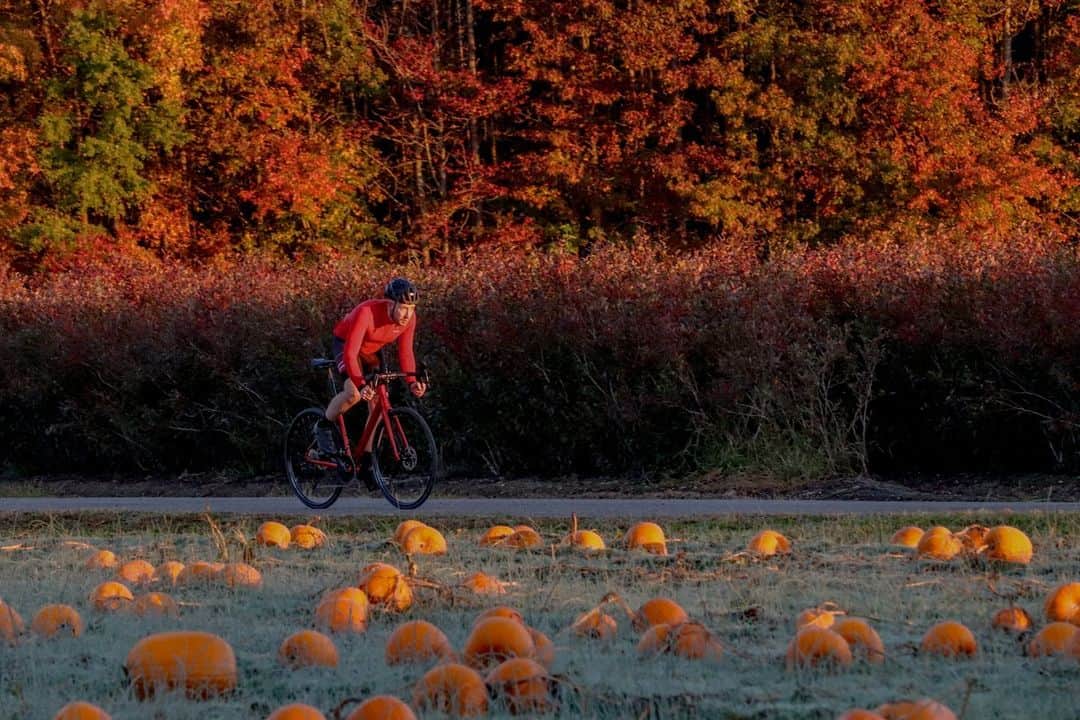 Fuji Bikesのインスタグラム：「Autumn Camouflage ❤️   #FujiBikes #SLA #FujiSLA #cycling #cyclinglife #cyclingphotos #roadbike #cyclist #adventure  #ciclismo #fall #autumnvibes #falllfoliage #fallcolor #autumncolors  #adventurecycling #km #takethelongwayhome #autumn  #roadcyclist #roadcycling #travelphotography #photography #travel #Bikes #BikeLife #BikeLove」