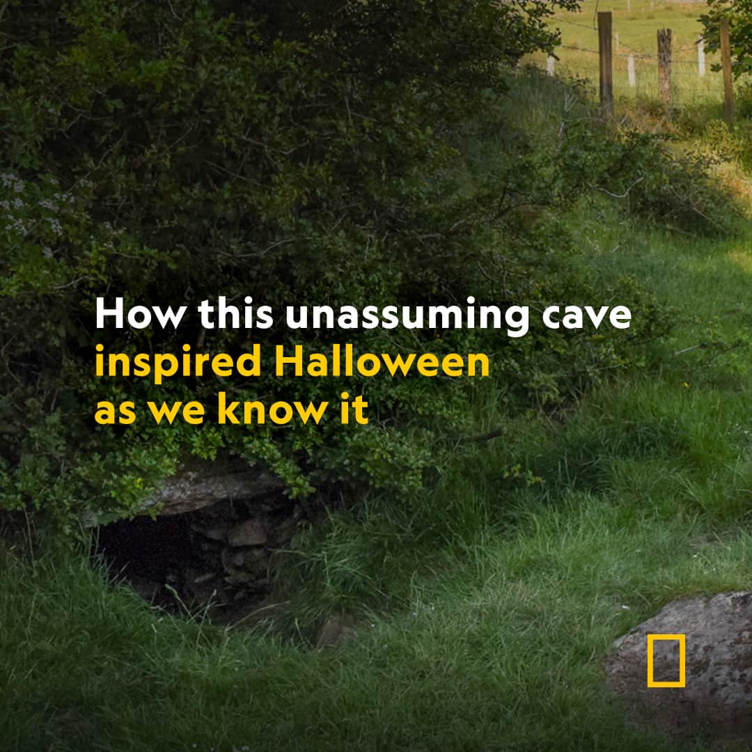 ナショナルジオグラフィックのインスタグラム：「This cave is known as a gateway to the demon-filled underworld and the birthplace of the Samhain festival—the traditional roots of Halloween. Discover more about Oweynagat cave in Rathcroghan, Ireland, at the link in bio—if you dare.  Photograph by Ronan O'Connell」