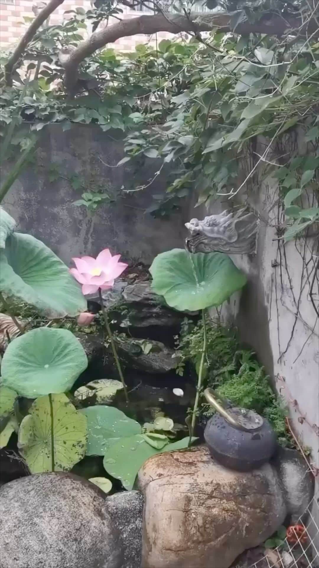 StreetArtGlobeのインスタグラム：「This plant is hard at work 💦🌱」