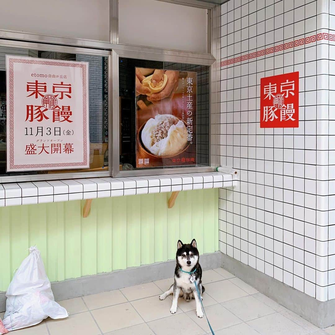 くろのインスタグラム：「自由が丘に東京豚饅の2号店がオープン🐷  〜〜〜 大阪土産の定番 『551 蓬莱』 創業者の孫「羅 邦強」監修 恵比寿で人気の 『東京豚饅』 2号店が自由が丘に🐽 南口「etomo　自由が丘」（Gong cha エトモ自由が丘店 / ゴンチャ 跡地）に11月3日OPEN！ 〜〜〜  #東京豚饅 #東京豚饅自由が丘 #盛大開幕  #羅家東京豚饅 #東京豚饅etomo自由が丘店 #東京豚饅自由が丘店 #東京豚饅2号店 #自由が丘勝手にPR #etomo自由が丘 #勝手に看板犬 #自由が丘犬 #jiyugaokadoglife」