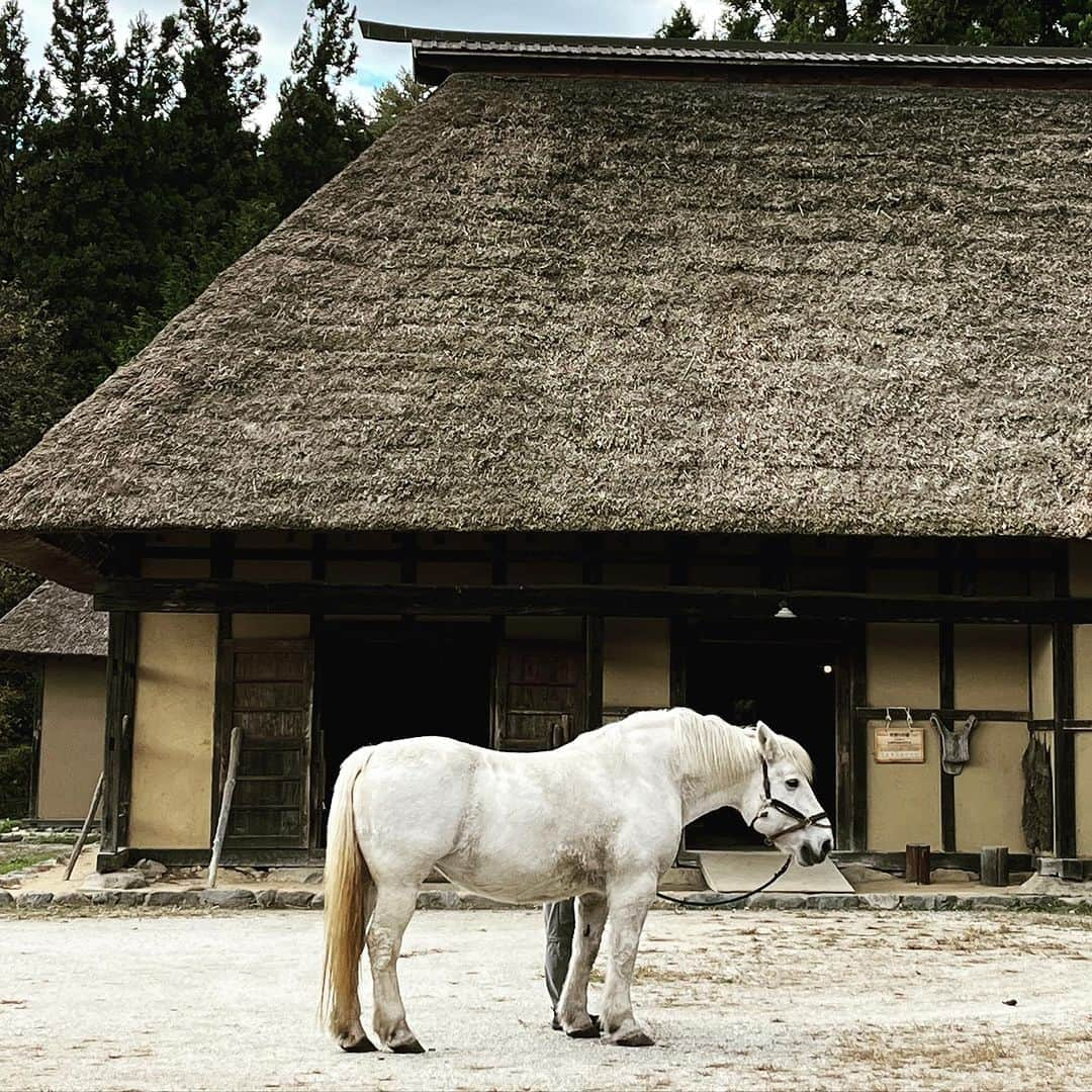 森井ユカさんのインスタグラム写真 - (森井ユカInstagram)「今年2回目の岩手県。民話の宝庫、遠野へ。思ったより暖かい。  This is the second time this year that I have been to Iwate Prefecture. I went to Tono City, where many folk tales originated.  #遠野 #岩手県 #ジンギスカン」10月28日 18時20分 - yukamorii