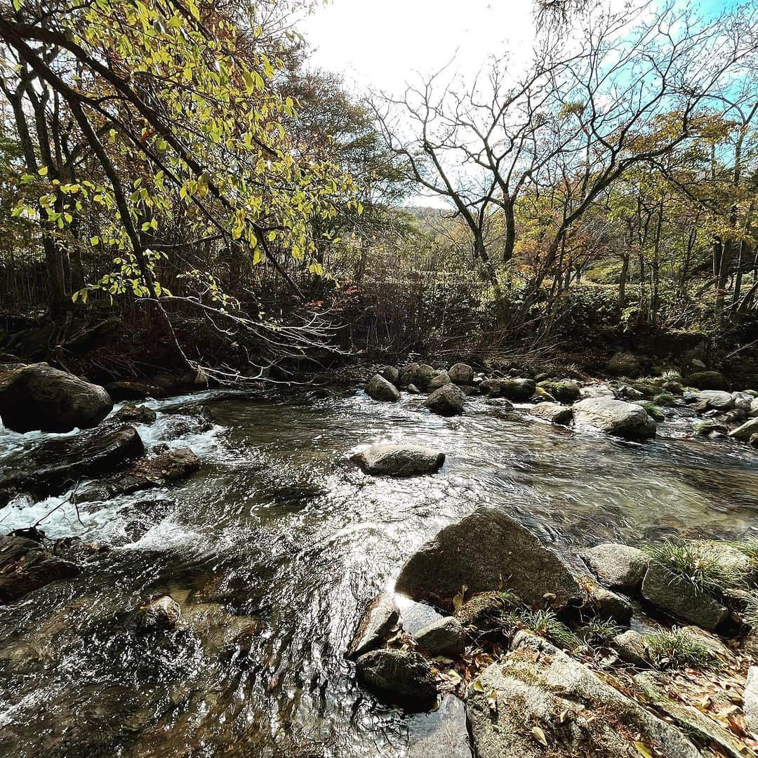 森井ユカさんのインスタグラム写真 - (森井ユカInstagram)「今年2回目の岩手県。民話の宝庫、遠野へ。思ったより暖かい。  This is the second time this year that I have been to Iwate Prefecture. I went to Tono City, where many folk tales originated.  #遠野 #岩手県 #ジンギスカン」10月28日 18時20分 - yukamorii