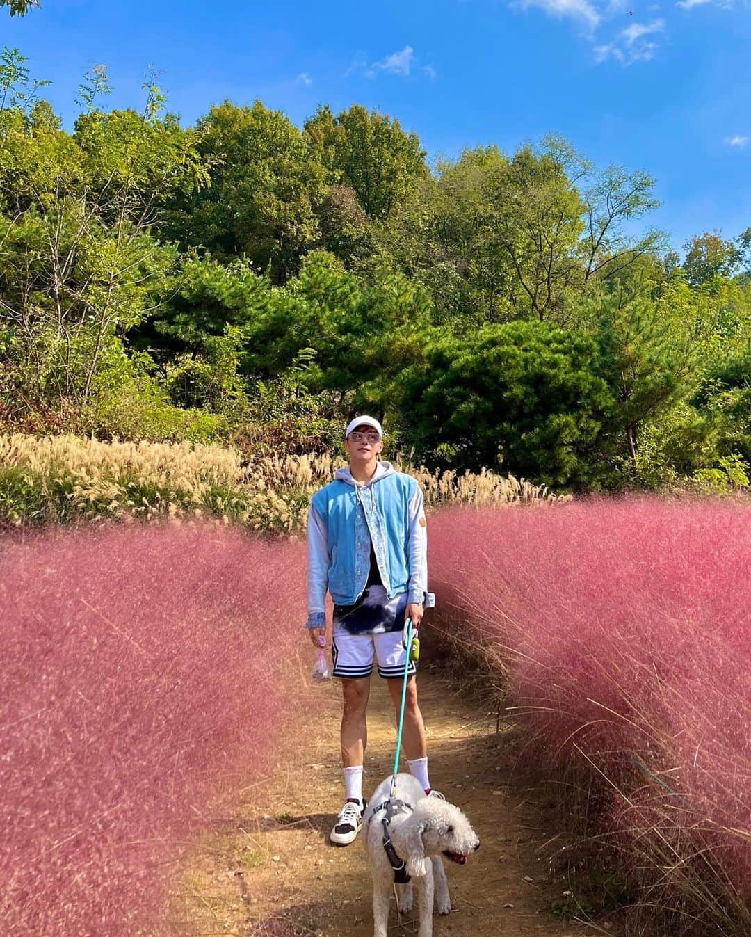 ジュンス さんのインスタグラム写真 - (ジュンス Instagram)「덴버야 #뎀벼 😛  👦🏻🐩🌴🍂」10月28日 16時55分 - jun2dakay