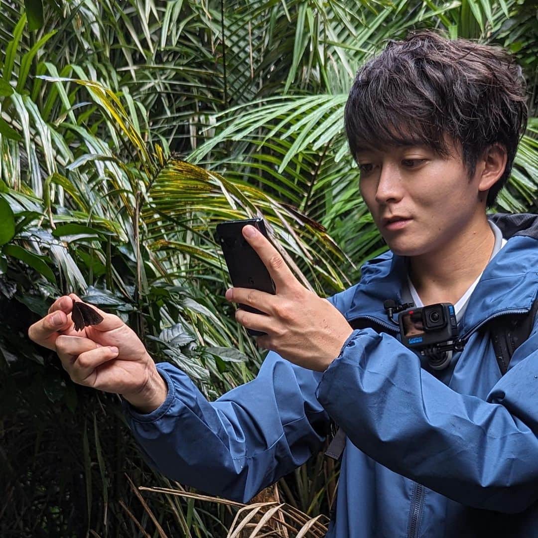 日本テレビ「ANOTHER SKY」さんのインスタグラム写真 - (日本テレビ「ANOTHER SKY」Instagram)「今夜のゲストは昆虫ハンター・牧田習さん！ 東洋のガラパゴスとも称される、世界自然遺産の西表島で、昆虫よりも謎めいた昆虫ハンターの生態を紐解きます。 放送は23時から。お楽しみに✈︎  公式YouTubeではオリジナル動画を配信中 @anothersky_ntv   #ANOTHERSKY #アナザースカイ #Pixelで撮影  #牧田習 #沖縄県 #西表島 #今田耕司 #八木莉可子」10月28日 17時05分 - anothersky_ntv