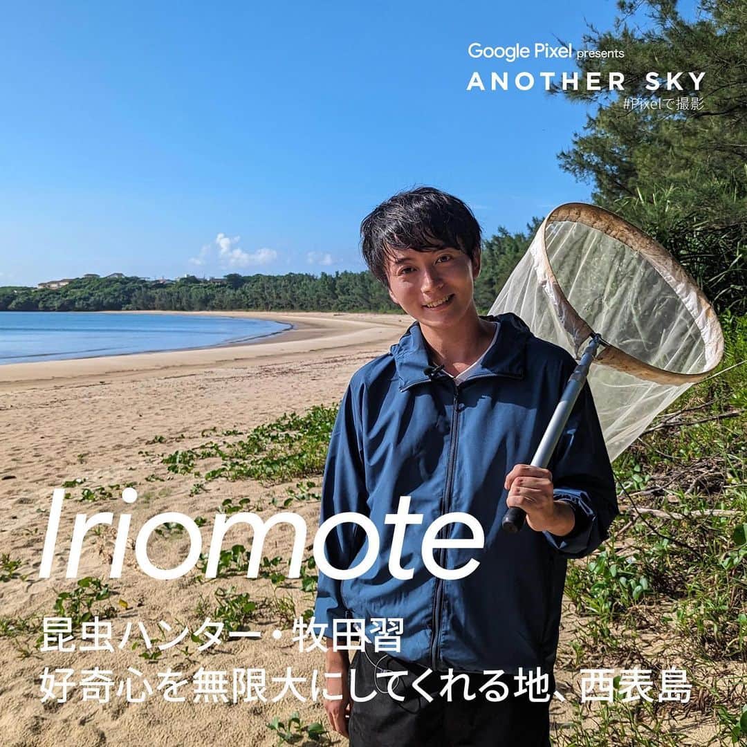 日本テレビ「ANOTHER SKY」さんのインスタグラム写真 - (日本テレビ「ANOTHER SKY」Instagram)「今夜のゲストは昆虫ハンター・牧田習さん！ 東洋のガラパゴスとも称される、世界自然遺産の西表島で、昆虫よりも謎めいた昆虫ハンターの生態を紐解きます。 放送は23時から。お楽しみに✈︎  公式YouTubeではオリジナル動画を配信中 @anothersky_ntv   #ANOTHERSKY #アナザースカイ #Pixelで撮影  #牧田習 #沖縄県 #西表島 #今田耕司 #八木莉可子」10月28日 17時05分 - anothersky_ntv
