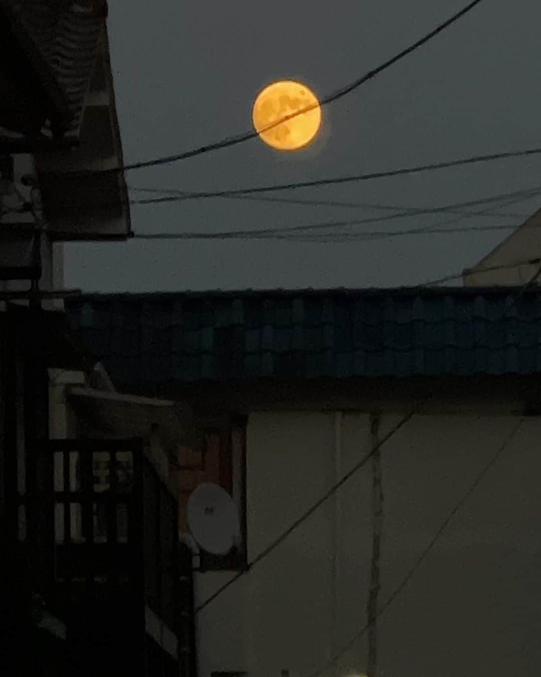 Kachimo Yoshimatsuのインスタグラム：「十四夜の月 夕方16:58。月が上り始め、 みるみる上っていくのがわかる｡」