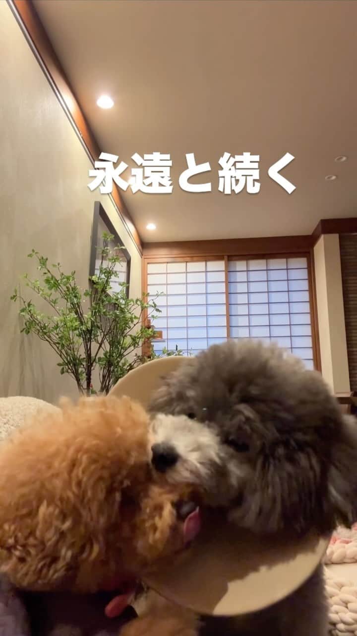 宇野樹のインスタグラム