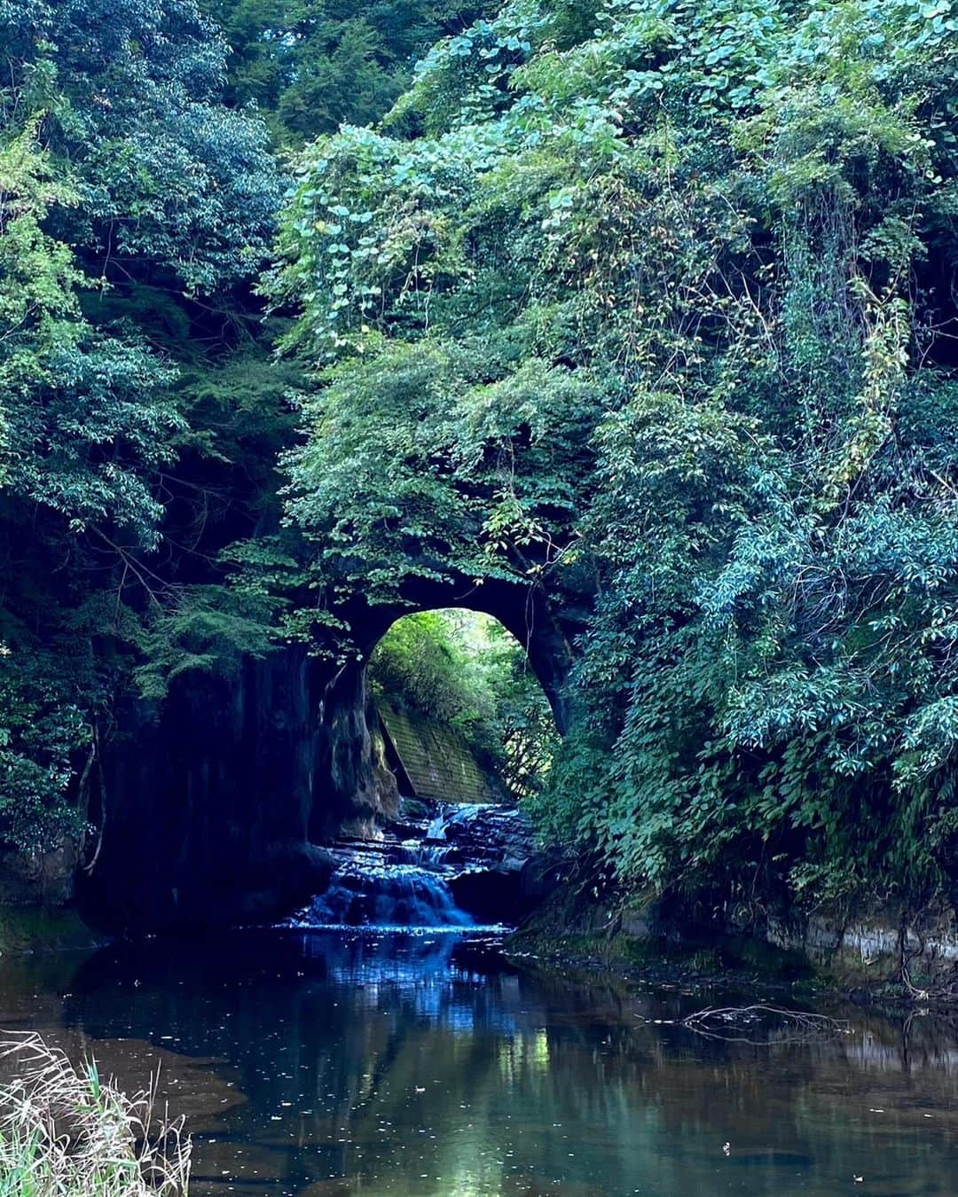 駒井蓮さんのインスタグラム写真 - (駒井蓮Instagram)「-  最近🌱」10月28日 17時41分 - ren.komai_official