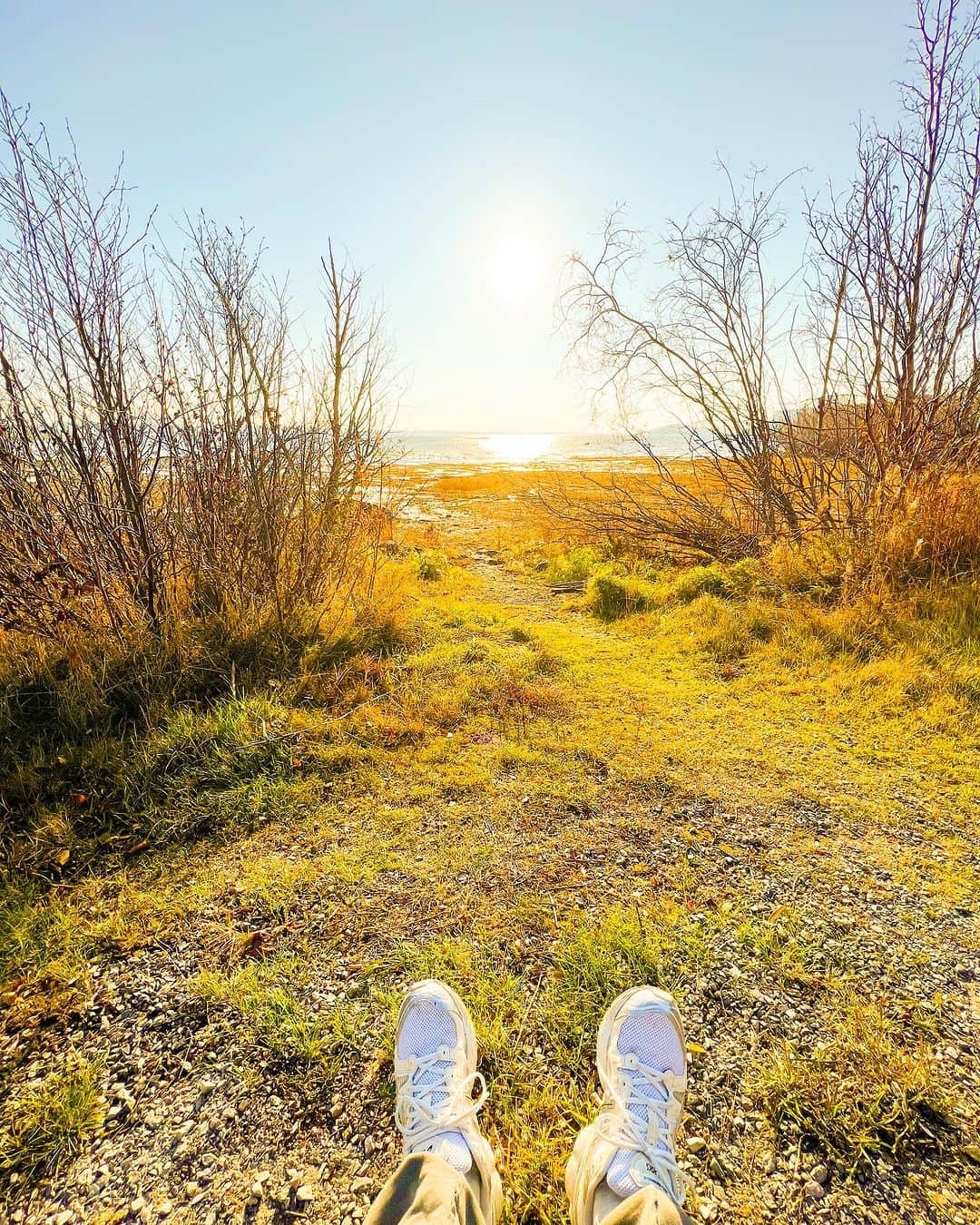 KENZO さんのインスタグラム写真 - (KENZO Instagram)「Yellowknife,Canada🇨🇦  Day time walk. 自然を感じると新しい自分に出会える。 そんな瞬間が好きだなぁ。  #canada  #yellowknife  #カナダ  #aurora #オーロラ」10月28日 17時42分 - dapump.kenzo