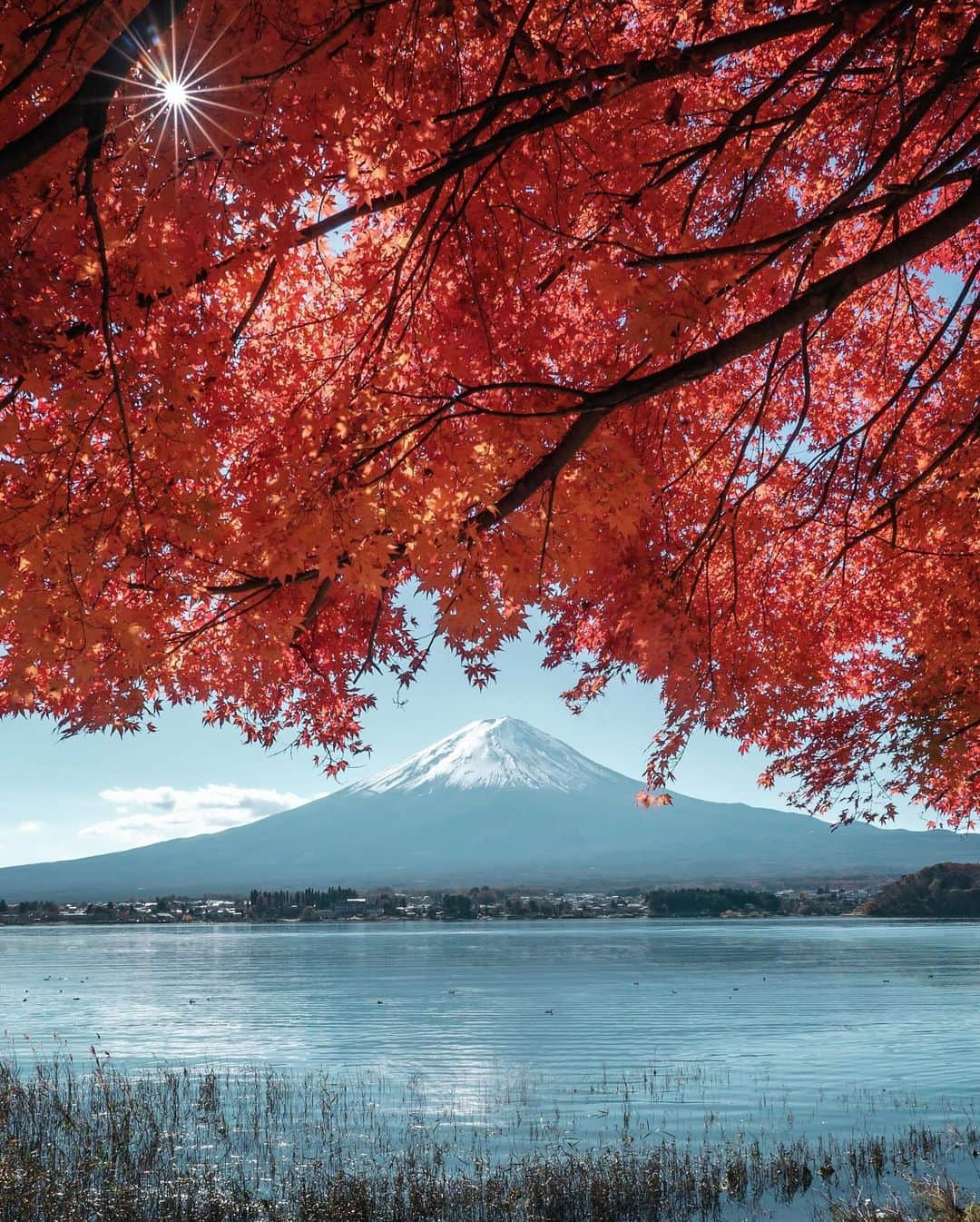 masayaさんのインスタグラム写真 - (masayaInstagram)「The fall foliage at Lake Kawaguchi will reach its peak in 2 weeks. Photo:2021」10月28日 17時43分 - moonlightice