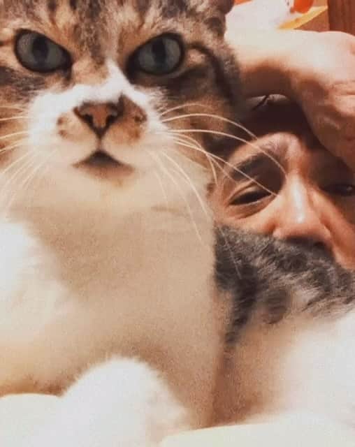 イマイアキノブのインスタグラム：「ꫛ 今晩は 皆さま 烏賊が推す五指でしょうか」