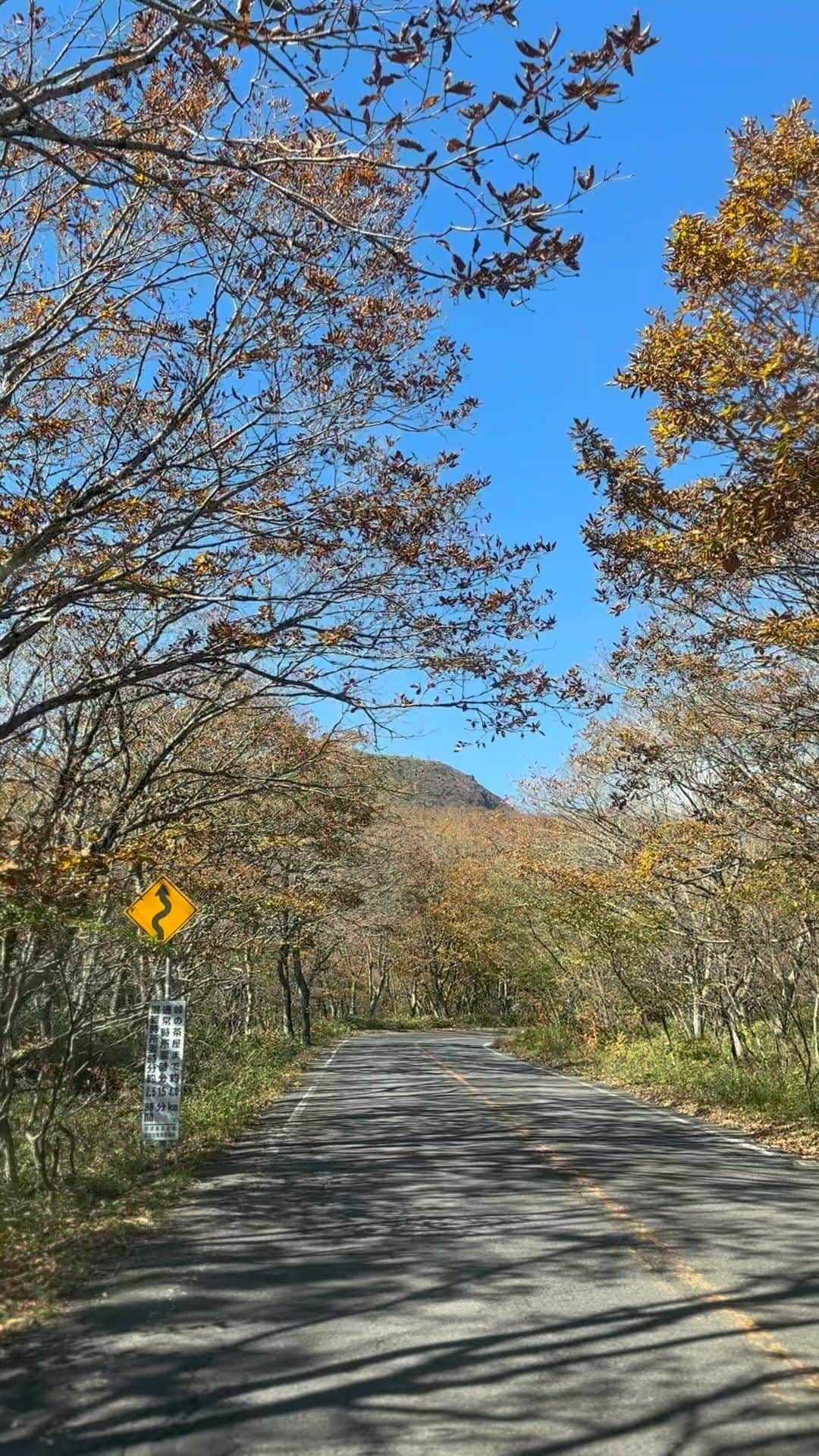 坂木優子のインスタグラム：「♡ ♡ ♡ 食欲の秋編🍂 ♡ 森の中の別荘を拠点として 山登りをしたり　お気に入りのお店へ食べに出かけたり　 バルコニーでBBQしたり♡  朝はゆっくりお風呂につかってcoffeeをお外で飲んだり♡ たくさんフレッシュな空気を吸って 美味しい地産地消のものをいただいて　 心もお腹もw  満たされました💜 いつもありがとう♡  #森の中のカフェ #別荘地 #山のある風景 #那須高原#バルコニーライフ #bbg #アウトドア #森の中 #森の中の家 #小鳥のいる生活 #旅するように暮らす #紅葉スポット #ドライブスポット #釣り#登山#観光スポット #栃木グルメ #秋の行楽 #秋の味覚  #坂木優子」