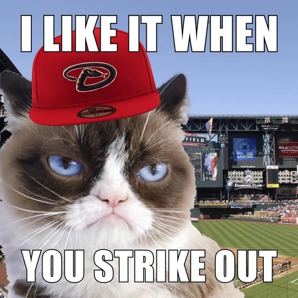 Grumpy Catさんのインスタグラム写真 - (Grumpy CatInstagram)「#WorldSeries #Diamondbacks @dbacks」10月28日 9時46分 - realgrumpycat