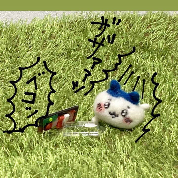 いちタルのインスタグラム：「🍣🍣🍣🍣🍣🍣 寿司ガチャが 手に入ったので 真顔で転ぶハチワレ 🍣🍣🍣🍣🍣🍣 #羊毛フェルト #ハチワレ」