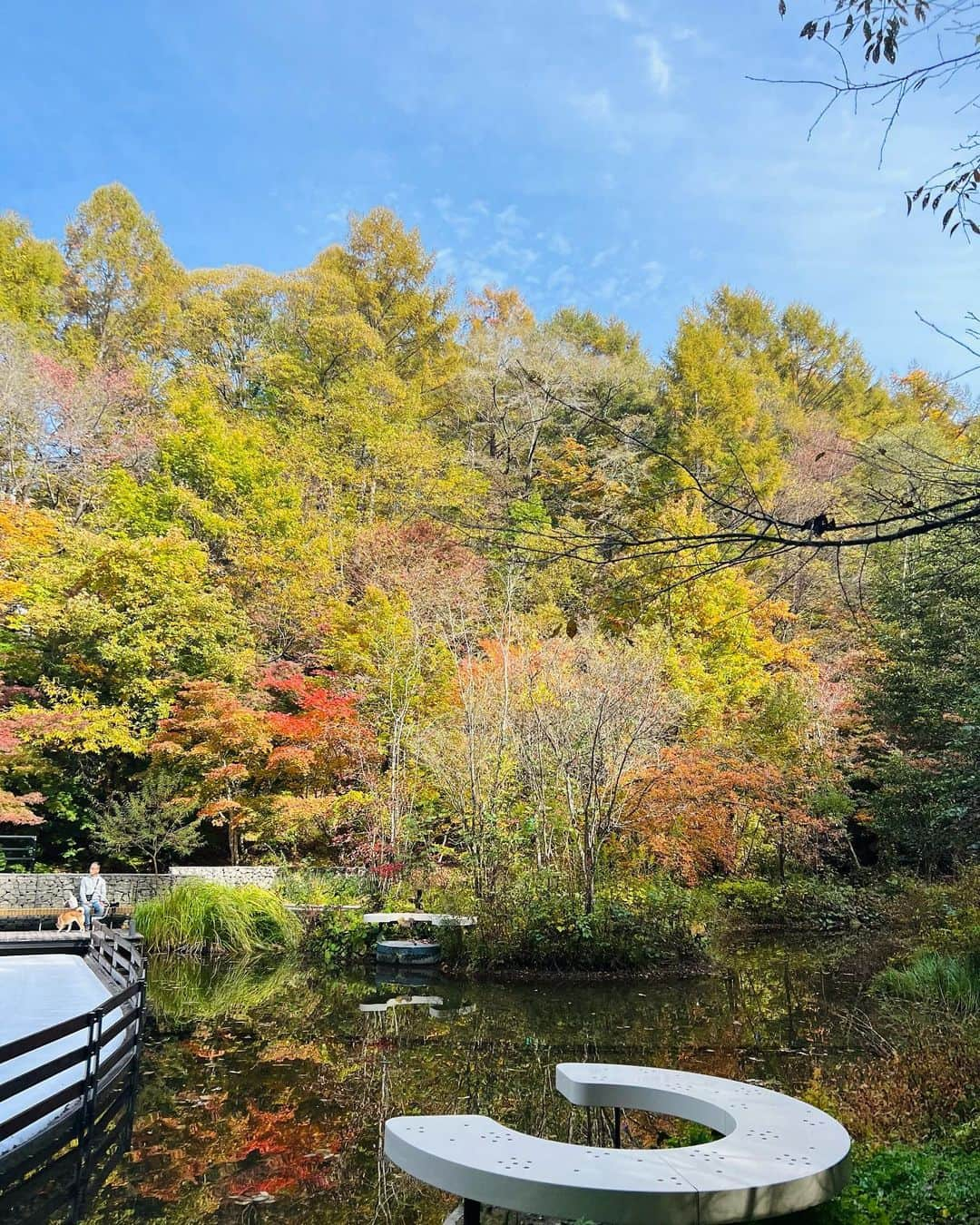 八木早希さんのインスタグラム写真 - (八木早希Instagram)「紅葉を楽しみに🍁  朝「野鳥の森」散策後に、来て見つけたリンクで子供達が初めてのアイススケートに夢中！⛸️ 風がなく、穏やかな盛秋の森にて🍁🍁  #星のや#軽井沢#アイスリンク#野鳥の森#ピッキオ#秋#紅葉狩り#autumn#hoshinoya#karuizawa#八木早希」10月28日 10時13分 - sakiyagi