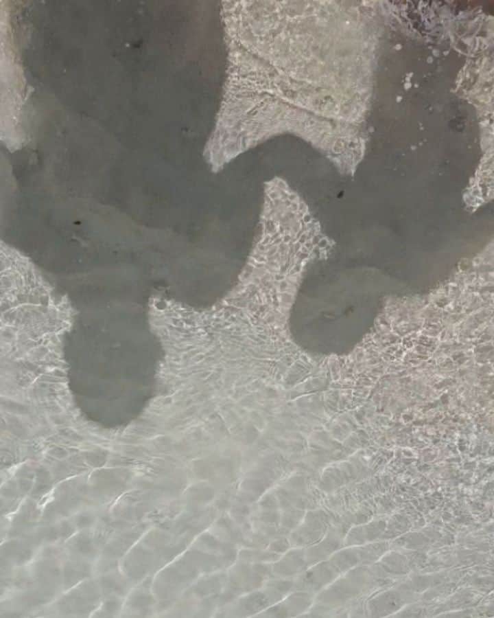 植竹拓のインスタグラム