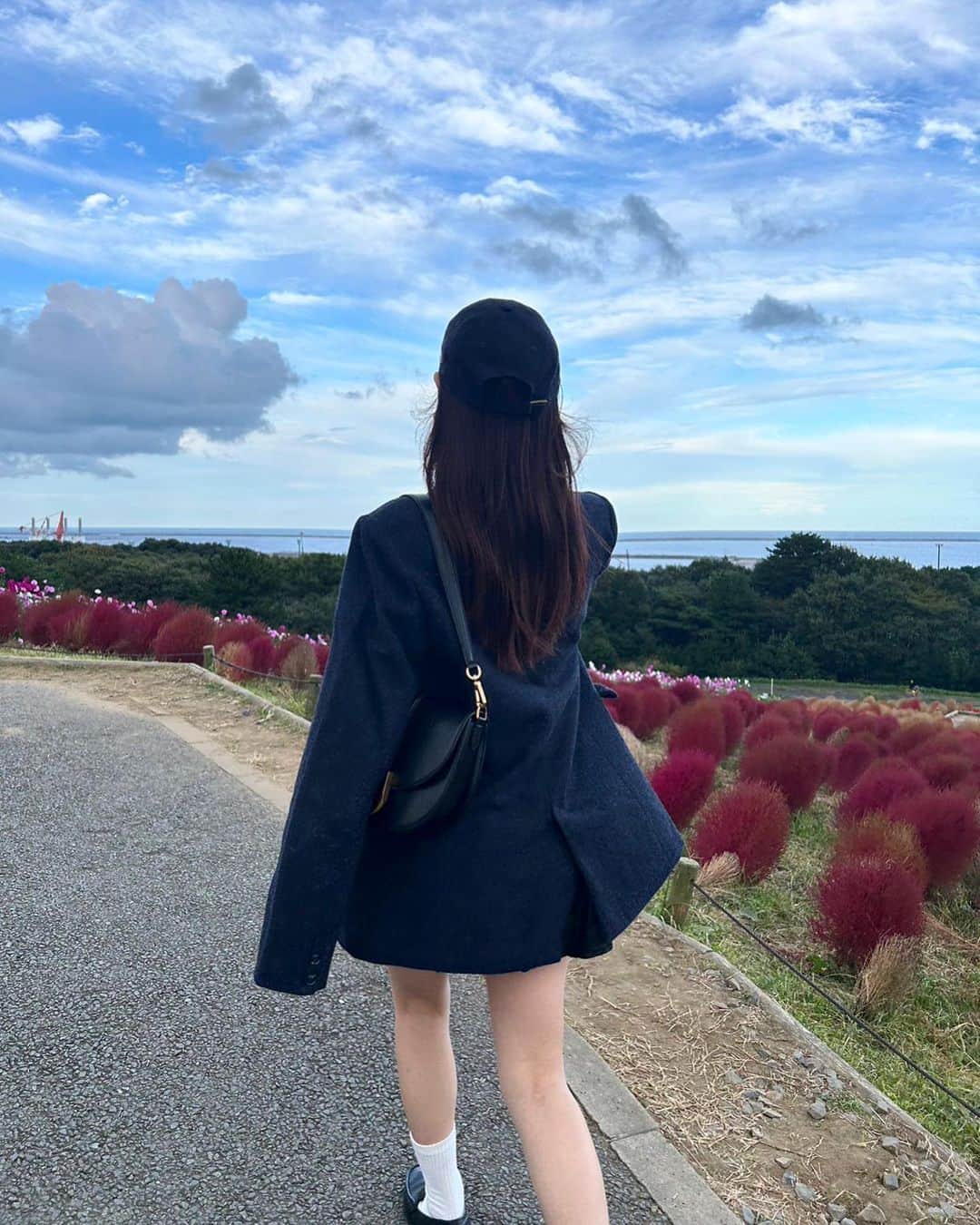 深瀬美桜さんのインスタグラム写真 - (深瀬美桜Instagram)「今年のコキアも美しかった」10月28日 11時20分 - fukasemio