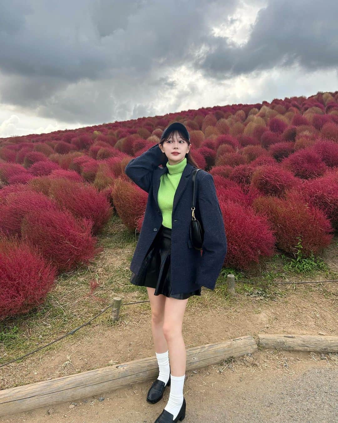 のインスタグラム：「今年のコキアも美しかった」
