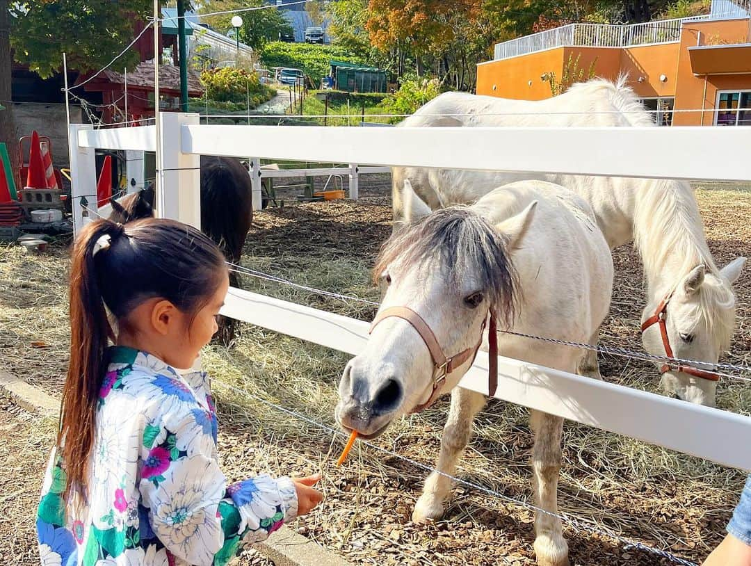 中川真依さんのインスタグラム写真 - (中川真依Instagram)「. 今週は子供たちを連れて 北海道へ行ってきました〜😍🐄✨  最大の目的はみきに会う為💛🥰  あとは綺麗な空気と 自然に触れられれば十分だったので なーんにも予定も決めず ただただ ゆるりと過ごしてきました😌🍁✨  現役時代はなかなかゆっくり 会える機会は無かったけど 今回はほんとにたくさん話せて大満足😌💚  でも朝から晩まで 家事に子供たちの相手でヘトヘト😹 何だか合宿のような日々でも ありました🤣🤣🤣笑  でもとりあえず思い切って行って良かった〜❤️ 北海道🐄最高🙌🙌🙌😆🌲🐿🍁️✨✨ #北海道旅行  #札幌 #白い恋人パーク  #北海道神宮  #大自然に感動  #北海道最高 #母子旅行 #でもまぁまぁ大変だった 😂」10月28日 11時46分 - maimai.47