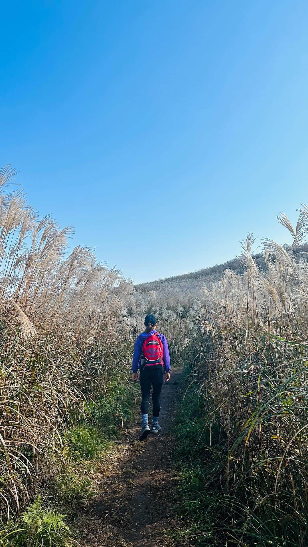 あだち理絵子のインスタグラム：「#生石高原  #おいし高原と読む   駐車場からすぐ絶景  #秋#ススキ#インスタ映え #パノラマビュー#秋空 #関西名所#🌾 #和歌山#山ガール#アラフィフ #日本絶景#和歌山絶景 #絶景#和歌山観光#有田市 #japanesepampasgrass」