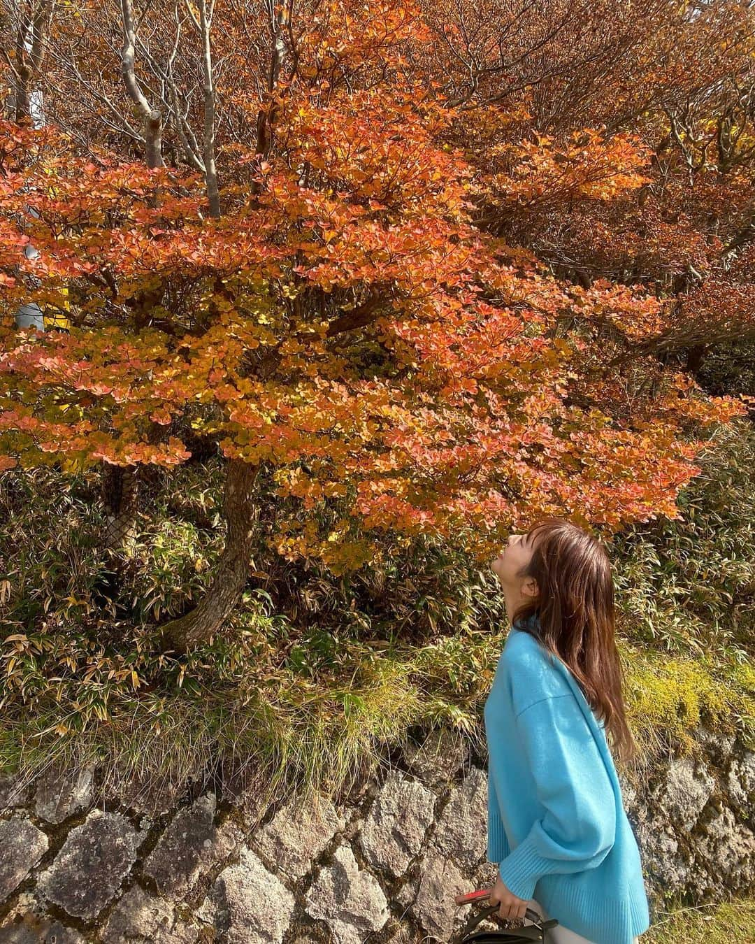 小松﨑花菜のインスタグラム：「・ 最高のリフレッシュ休日でした〜 あじゅ1日ありがとう☺️🍁  スイーツ選べず、2人で4つ食べました🍮笑  #三重 #菰野町 #御在所岳 #紅葉狩り #そば切り石垣 #アクアイグニス #東海テレビ #篠田愛純 アナ #メーテレ #アナウンサー #小松﨑花菜」